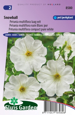 Petunia Schneeball - 750 Samen SL